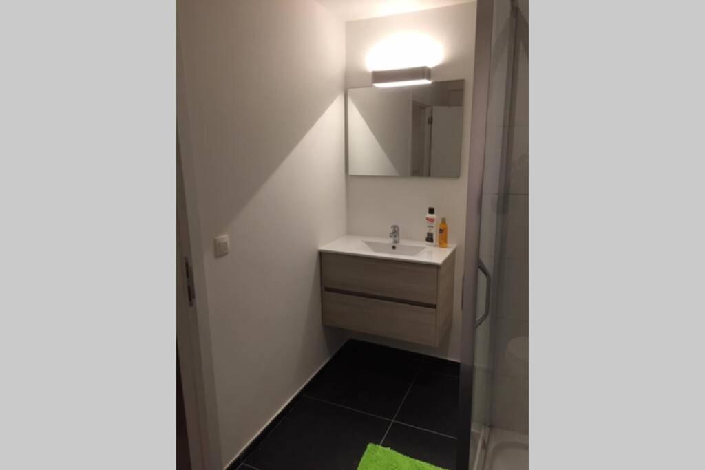 Appartement Duplex Pour 3-4 Personnes A Ciney Εξωτερικό φωτογραφία
